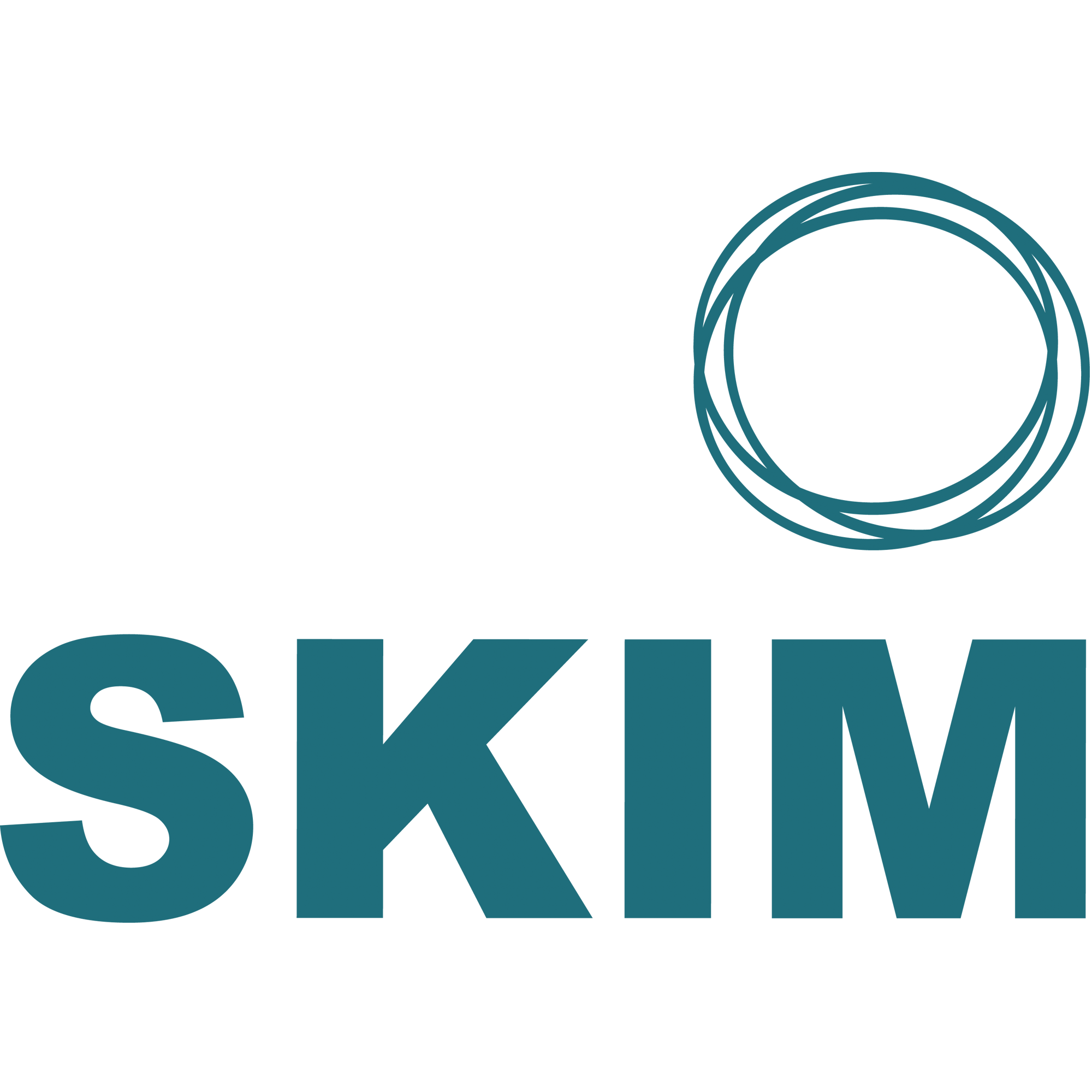 Skim-company-logo